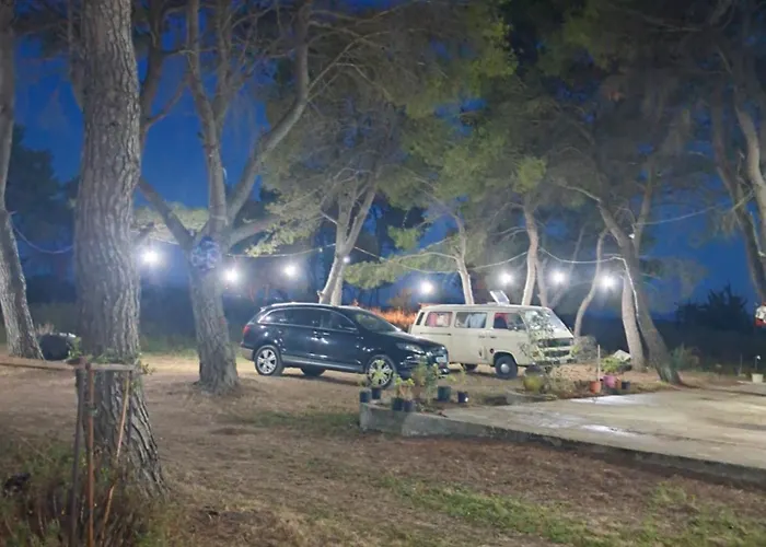 Vjosa River Hostel *