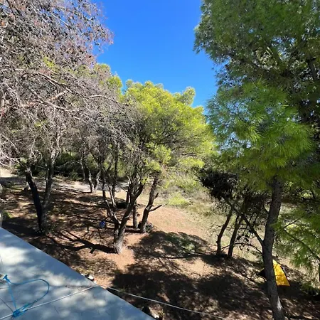 Vjosa River * Darezeze e Re