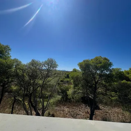 Vjosa River אכסניה Darezeze e Re