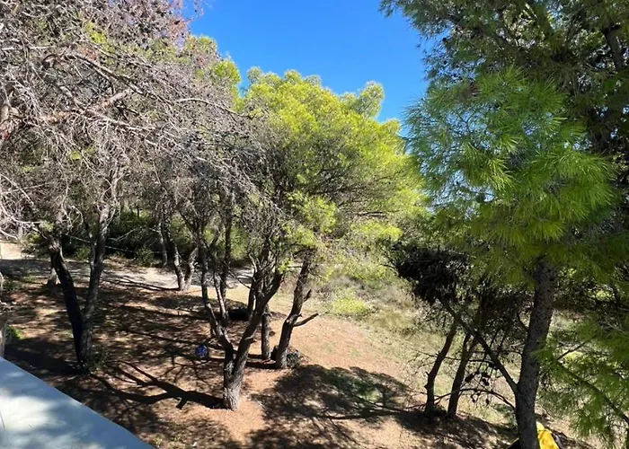 Vjosa River * Darezeze e Re