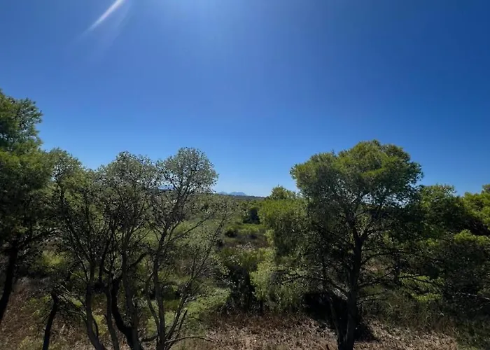 Vjosa River אכסניה Darezeze e Re